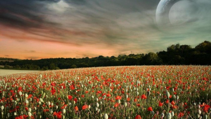 最近突发奇想,想做以NAS为主的家用媒体中心。下面是我做的一个草图,各位大神看看可行吗?